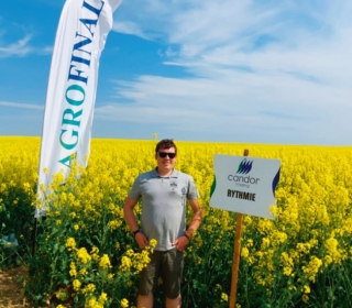 Rythmie je jedním z nejranějších materiálů na trhu, který zaručuje vysoký výnos